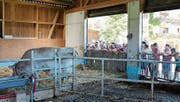 Die Teilnehmer erlebten einen besonderen Gottesdienst. (Bild: PD)