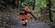 Der laute Kampf gegen das Herbstlaub (Bild: Olaf Kühne)