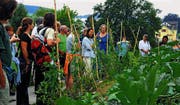 Mieke Duveen (Mitte) zeigt den Besucherinnen und Besuchern den üppigen Garten des Ökodorfs. (Bild: mhu)