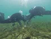 Taucher analysieren einen der Steinhügel auf dem Seegrund. (Bild: pd)