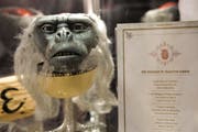 Ausstellungsstück im Thurgauer Museum für Archäologie. (Bild: Donato Caspari)