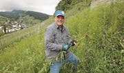 André Eberhard, Vorsitzender der Bankleitung, jätet im Rebberg. (Bild: pd)
