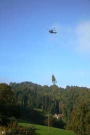 Die hölzige Fracht ist unterwegs zum Werkhof. (Bild: pd)