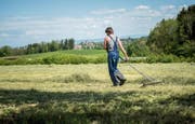 Handarbeit auf einem Feld in Wittenbach: Jeder zweite Landwirt im Kanton St. Gallen beteiligt sich an einem Landschaftsqualitätsprojekt. (Bild: Urs Bucher)