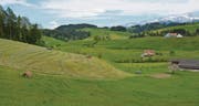 Der Hof der Familie Hebeisen verfügt sowohl über intensiv bewirtschaftete Grasflächen als auch über naturnahe Blumenwiesen. (Bild: Hansjürg Hörler)