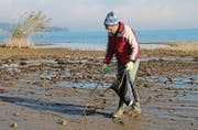 Mit Handschuhen, Greifzange und Plastiksack unterwegs: Walter Meister beim Uferputzen. (Bild: Hana Mauder Wick)