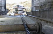 Die MS Thurgau der Schifffahrtsgesellschaft Untersee und Rhein (URh) wird am Montag in der Werft ausgewassert.