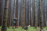 Ein Jäger auf der Jagd im Wald. (Bild: ALEXANDRA WEY (KEYSTONE))