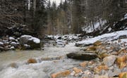 Der Zwislerbach auf dem Gemeindegebiet von Hemberg zeichnet sich unter anderem durch naturbelassene Bachstrecken aus. (Bild: Urs M. Hemm)