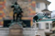 Ist ein Wasserhahn nicht frostsicher, sollte er in diesen Tagen besser nochmals abgestellt werden. (Bild: Keystone)