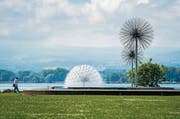 Der Romanshorner Seepark soll als Stadtlandschaft aufgewertet werden. (Bild: Reto Martin)