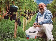 Franz Bieri (12.09.1946–07.08.2016) an seinem Lieblingsort inmitten der Reben. (Bild: PD)