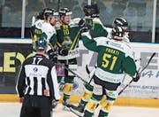Lange hatten die Thurgauer Spieler gestern nichts zu jubeln. Dann machten sie aus einem 2:5 ein 6:5. (Bild: Mario Gaccioli)