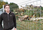 Pascal Eichenberger ist entsetzt über den lieblosen und unprofessionellen Umgang mit den Bäumen. (Bild: Rudolf Hirtl)