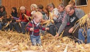 Rund 600 Kilo Mais wurden an der neunten «Türgga-Höltscheta» der Ortsgemeinde Salez geschält. (Bild: Corinne Hanselmann)