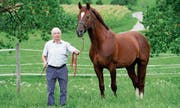 Stolzer «Pferdevater»: Alois Seiler mit seinem Zuchthengst Comet. (Bild: Jörg Rothweiler)