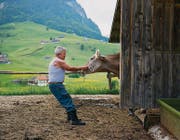 Reportage Alpsommer: Alpbetrieb (Bild: Urs Bucher (Urs Bucher))
