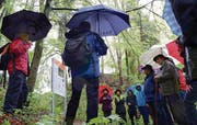 Bei Dauerregen machten sich die ersten Wanderer bei der Eröffnung auf den Geoweg. (Bild: Rudolf Steiner)