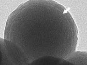 Ein Glaskügelchen von 160 Nanometern Durchmesser unter dem Mikroskop. In der hellen dünnen Schicht (Pfeil) liegen die DNA-Moleküle, welche die Audioinformation speichern. (Bild: ETH Zürich/Robert Grass)