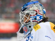 Klotens Goalie Luca Boltshauser wurde von den Rapperswil-Jona Lakers seit über 115 Minuten nicht mehr bezwungen (Bild: KEYSTONE/GIAN EHRENZELLER)