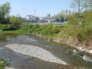 Schutz für das Laichgebiet der Fischart Nase an der Suhre am Rande des Industriequartiers mit Abwasserkläranlage in Aarau. Es ist verboten, den Bach und dessen Ufer zu betreten. (Bild: Thomas Gerber/sda)