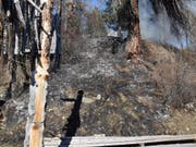 Flurbrand im Engadin: Jugendliche spielten mit Feuerzeug. (Bild: Kapo GR)
