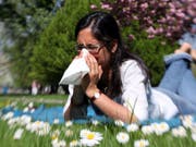 Durch ihre Einträge in ein "Allergietagebuch" können Allergiker selber zur schweizweit grösste Studie zu Pollenallergien beitragen. (Bild: Keystone/DPA/BODO MARKS)