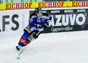 EVZ-Spieler Damien Brunner in Aktion. (Bild Archiv Neue ZZ/Stefan Kaiser)