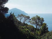 Auf der Wanderung bei Bonassola leuchtet tief unten das Meer. (Bild: Gerhard Bläske)
