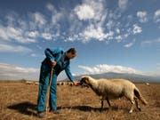Weniger Geld für die Bauern nach dem Austritt Grossbritanniens aus der EU: Die EU-Kommission will die Mittel für die Landwirtschaft reduzieren. (Symbolbild) (Bild: KEYSTONE/AP/PETAR PETROV)