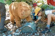 Auf dem Bärenerlebnisweg in S-charl können Kinder an neun Stationen die Braunbären und ihre Lebensweise kennen lernen. (Bilder: Schweizerischer Nationalpark)