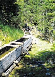 Vorbei an einer offenen Holzrinne der Suone Saxon, die 32 Kilometer lang ist. (Bild: Geraldine Friedrich)