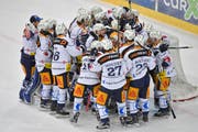 Der EVZ spielt erstmals seit 19 Jahren in den Playoff-Finals. (Bild: Keystone/Jürgen Staiger)