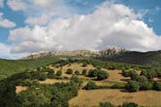 Blick in die Hügel und Berge bei Lodè, im Hinterland von Sardiniens Ostküste. (Bild: Urs Oskar Keller)