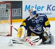 Zug-Torhüter Eero Kilpeläinen ist geschlagen. (Bild: Keystone)