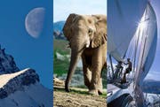 Zunehmender oder abnehmender Mond? Afrikanischer oder Indischer Elefant? Ist der Mann auf der Luv- oder Leeseite des Segels? Die Lösungen finden Sie am Textende. (Bild: Keystone/Getty)