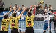 Luzerns Luca Müller gegen den Jona-Block mit Jonas Luca Beer, Joel Maag und Mitchell Beal (von links). (Bild: Boris Bürgisser (Luzern, 26. 11. 2017))