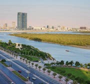Mangroven neben der Küstenstrasse und vor der Skyline. Im Emirat wohnen eine Viertelmillion Menschen, davon 80 Prozent Ausländer. (Bild: Andrey Gorgots)