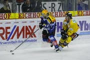 EVZ-Stürmer Josh Holden (links) gegen Michael Zeiter bei einem vergangenen Match gegen die SCL Tigers. (Bild Stefan Kaiser/Neue ZZ)