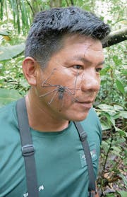 Expeditionsleiter Rodrigo Jipa samt einer Geisselspinne als Begleiterin. (Bild: Tatjana Stocker)