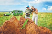 Nicht nur die Berggorillas, die gesamte Tierwelt Ugandas fasziniert die Besucher. Ein Chamäleon posiert für die Teilnehmer einer Fotoreise. (Bild: www.fotoreisen.ch)