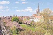 Der Feuerbachpark in der 2000 Jahre alten Stadt Speyer. (Bild Klaus Venus)