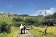 Auf dem Weg zum Krater des erloschenen Vulkans Diamond Head bei Waikiki. (Bild: Keystone)