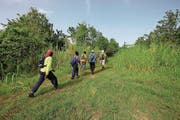 Wandern durch die üppige tropische Vegetation. (Bild: Anna Karolina Stock)