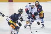 Die Zuger Reto Suri (links) und Carl Klingberg versuchen ZSCs Inti Pestoni zu stoppen. (Bild: Keystone / Urs Flüeler)