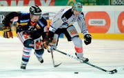 Zugs Corsin Camichel verliert an der Mittellinie die Scheibe an Berns Travis Roche. Dieser enteilt und schiesst das 2:1. (Bild EQ)