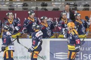 Die Zuger feiern das Tor von Rafael Diaz zum 1:0. (Bild: Keystone / Urs Flüeler)