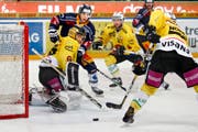 SCB-Goalie Leonardo Genoni (links) zeigte gestern Abend einmal mehr, warum er wohl der beste Goalie der NLA ist. Insgesamt wehrte er bei seinem zweiten Shut-out im Berner Dress 36 Schüsse ab. (Bild: Marc Schumacher/freshfocus)