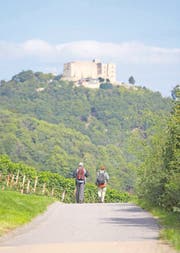 In Tagesetappen lässt sich auf dem Pfälzer Weinsteig wandern, hier unter dem Hambacher Schloss. (Bild DWI)
