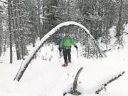Schneeschuhwanderer auf dem Weg von Buffalora nach Jufplaun. (Bild: Monika Neidhard)